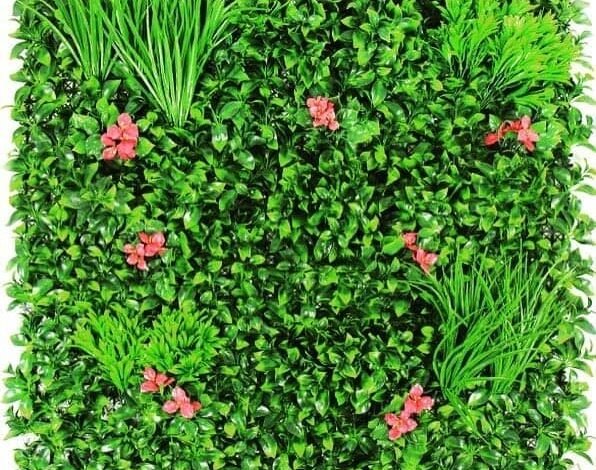زراعة الثيب الطبيعي بالرياض