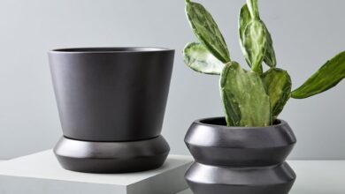 احواض زرع للحوش بالرياض