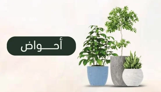 الأحواض الزراعية بالرياض