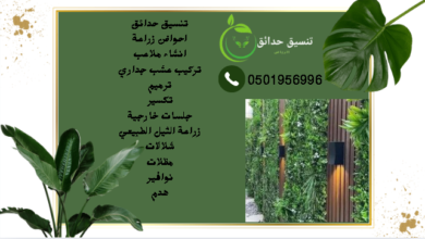 تركيب عشب جداري بالرياض