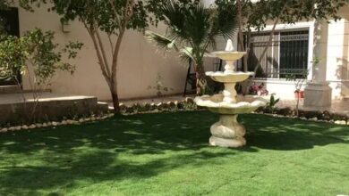 تنسيق حدائق الرياض