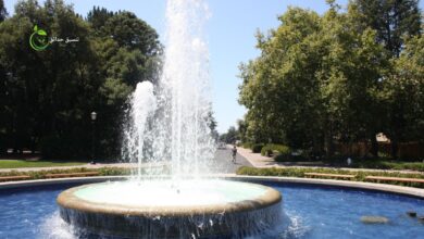 تصميم نوافير حديثة بالرياض