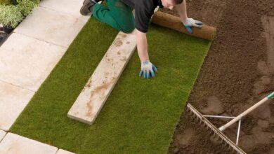 إنشاء أحواض زراعة فى الرياض