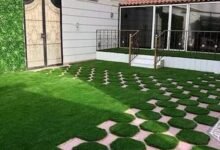 شركة زراعة ثيل طبيعي بالرياض