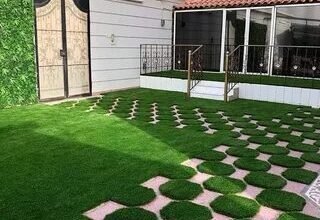 شركة زراعة ثيل طبيعي بالرياض