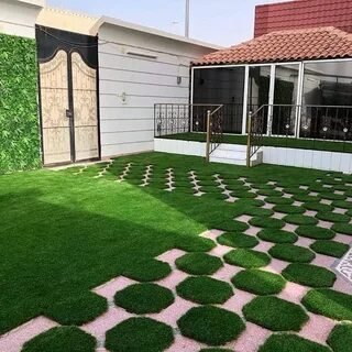 شركة زراعة ثيل طبيعي بالرياض