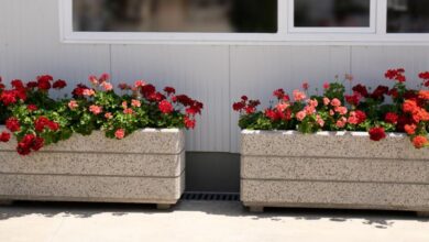 إنشاء وتركيب أحواض زراعية بالرياض