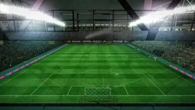 شركة انشاء الملاعب فى الرياض