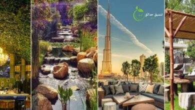 أفضل شركة تنسيق حدائق بالرياض