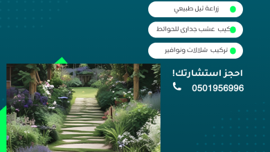 شركة تنسيق حدائق المنازل بالرياض