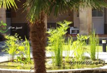 افضل شركة تصميم احواض زراعة بالرياض
