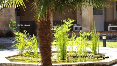 افضل شركة تصميم احواض زراعة بالرياض