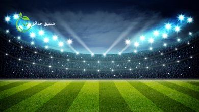 شركة انشاء وتصميم الملاعب بالرياض
