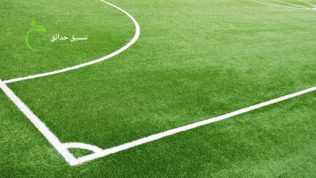 الملاعب بالرياض