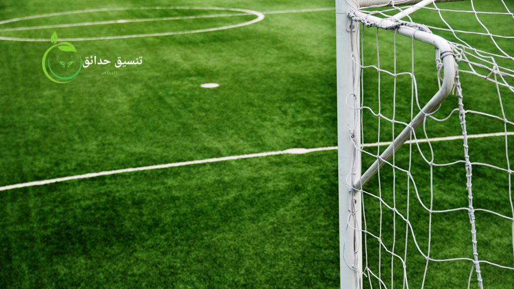 الملاعب بالرياض