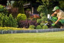 تنسيق حدائق احترافي بالرياض