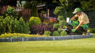 تنسيق حدائق احترافي بالرياض