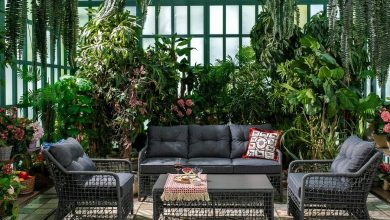 جلسات خارجية