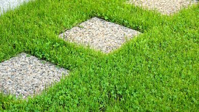 أفضل أنواع الثيل الطبيعي في السعودية