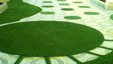 زراعة الثيل الطبيعي بالرياض