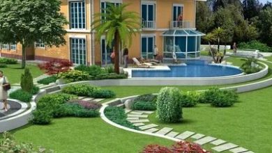 تنسيق حدائق