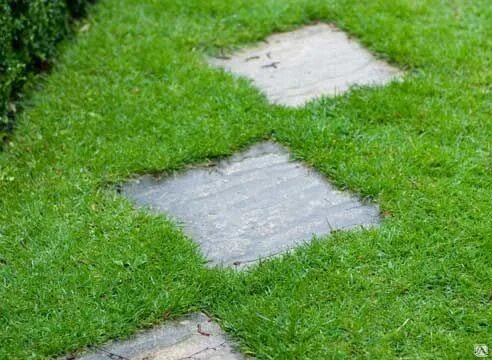 الري الصحيح للنجيل الطبيعي