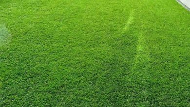 الثيل الطبيعي