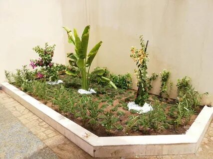 تركيب أحواض زراعة