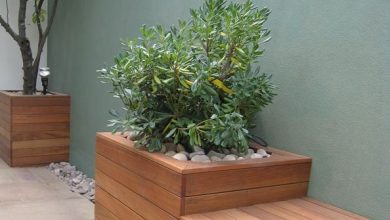 احواض زرع بالرياض