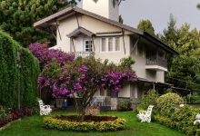 تنسيق حدائق الرياض