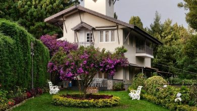 تنسيق حدائق الرياض