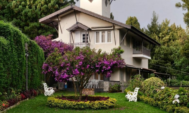 تنسيق حدائق الرياض