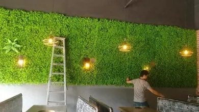 تركيب عشب طبيعي للحدائق