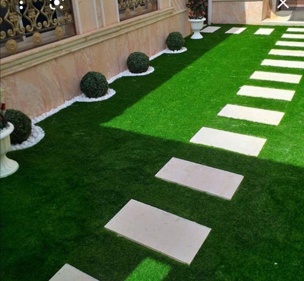 عشب جداري الرياض