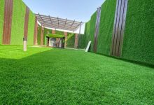 عشب جداري الرياض