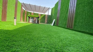 عشب جداري الرياض