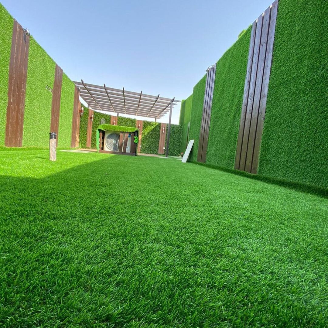 عشب جداري الرياض