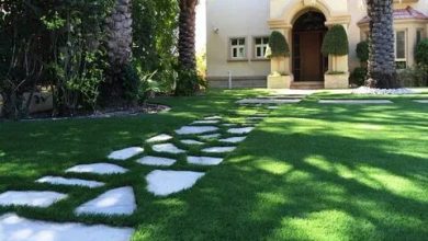 زراعة ثيل طبيعى