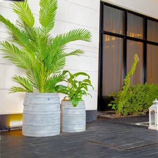 أحواض زرع بالرياض