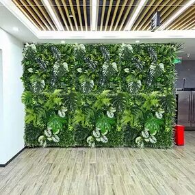 عشب جدارى بالرياض