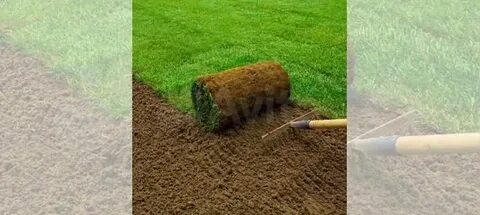 زراعة ثيل طبيعي 