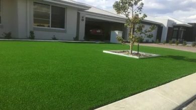 زراعة ثيل طبيعي