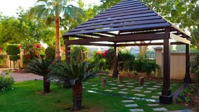 تنسيق حدائق فى الرياض