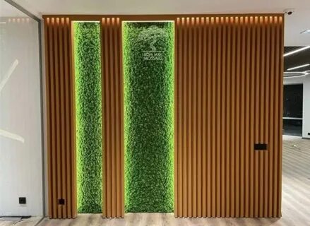 العشب الجداري في الرياض