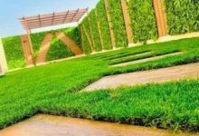 شركة تركيب عشب الجداري بالرياض