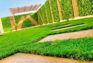 شركة تركيب عشب الجداري بالرياض