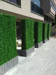 شركة تركيب عشب جدارى